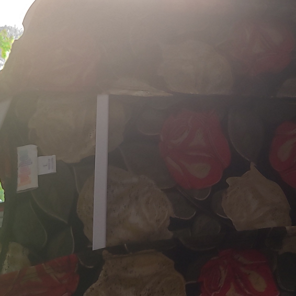 Lularoe Joy size large with roses